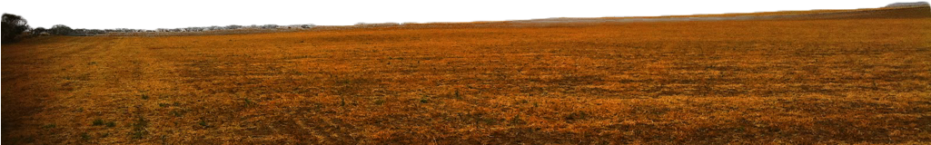 Ground Png Picture - Ground Png (1024x452), Png Download