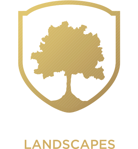 Oaktree Landscapes Oaktree Landscapes - Logo (500x500), Png Download