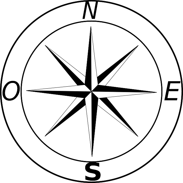 Wind Rose, Compass Rose, Cartography, Compass - Rosa De Los Vientos Español (640x640), Png Download