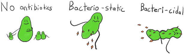 Bacterio Static Vs Bacteri Cidal - Efecto Bacteriostatico Y Bactericida (640x193), Png Download