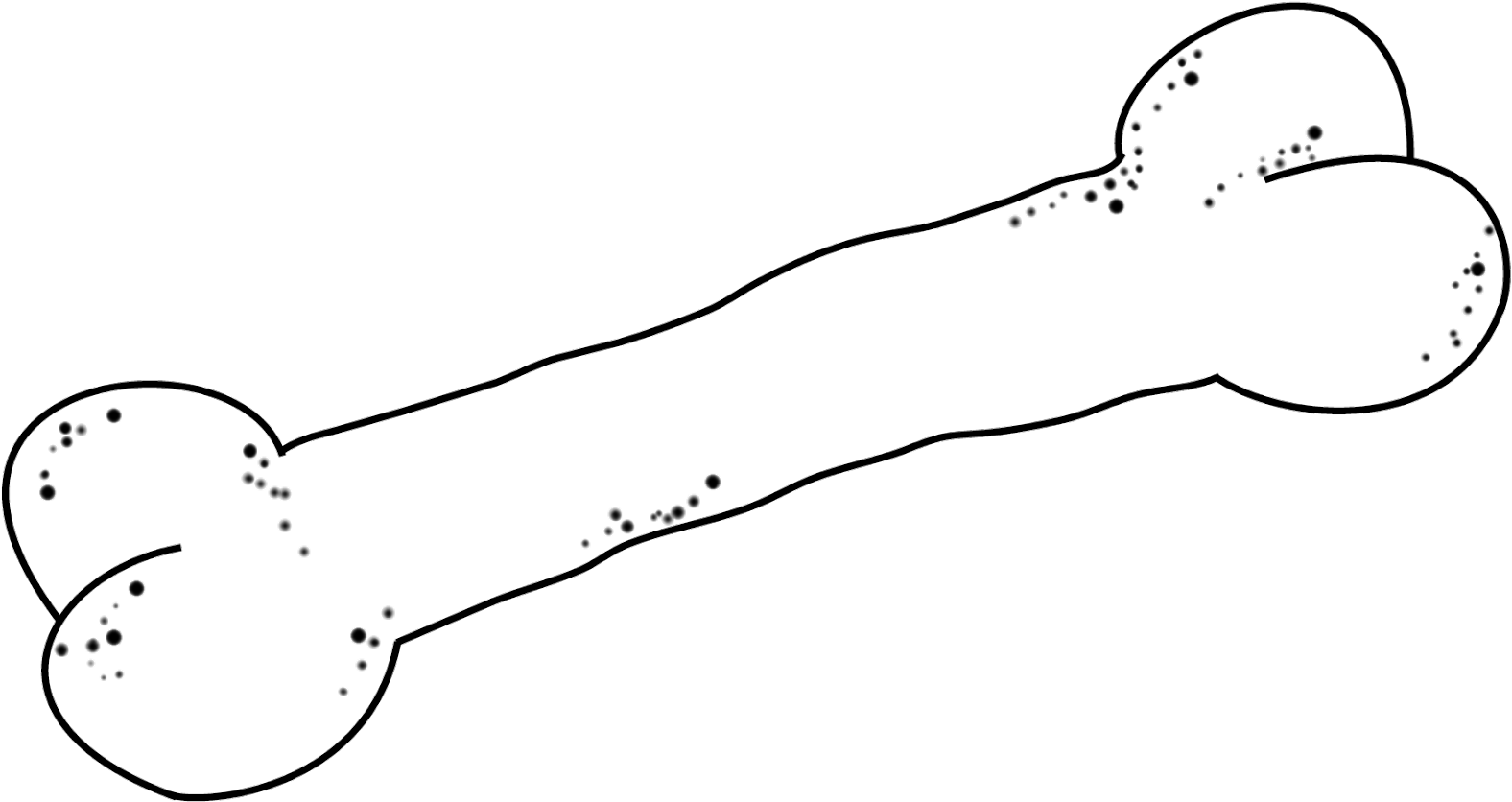 #f 31 Dog Bone - Drawing (1600x928), Png Download