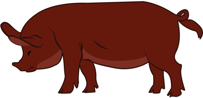 Duroc Pig Clip Art At Clker - Duroc Pig Clipart (600x286), Png Download