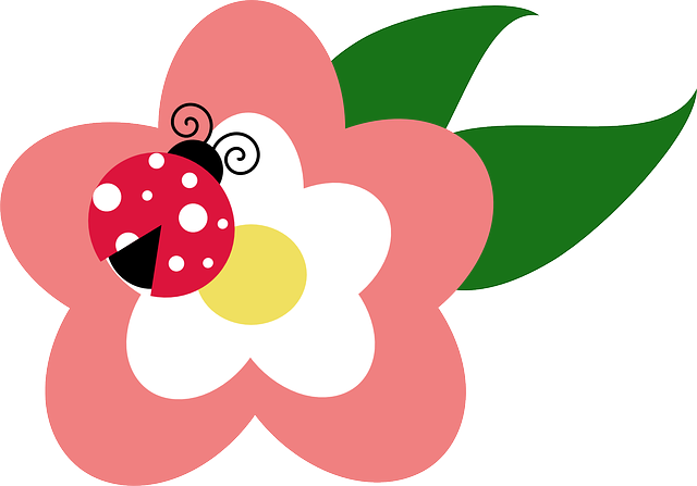 Leaf, March, Flower, Spring, Ladybug, Bug, Summer - Ladybug On Flower Clipart (640x447), Png Download