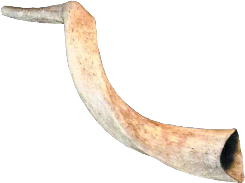 Ram Horns Png - Warehouse 13 (834x898), Png Download