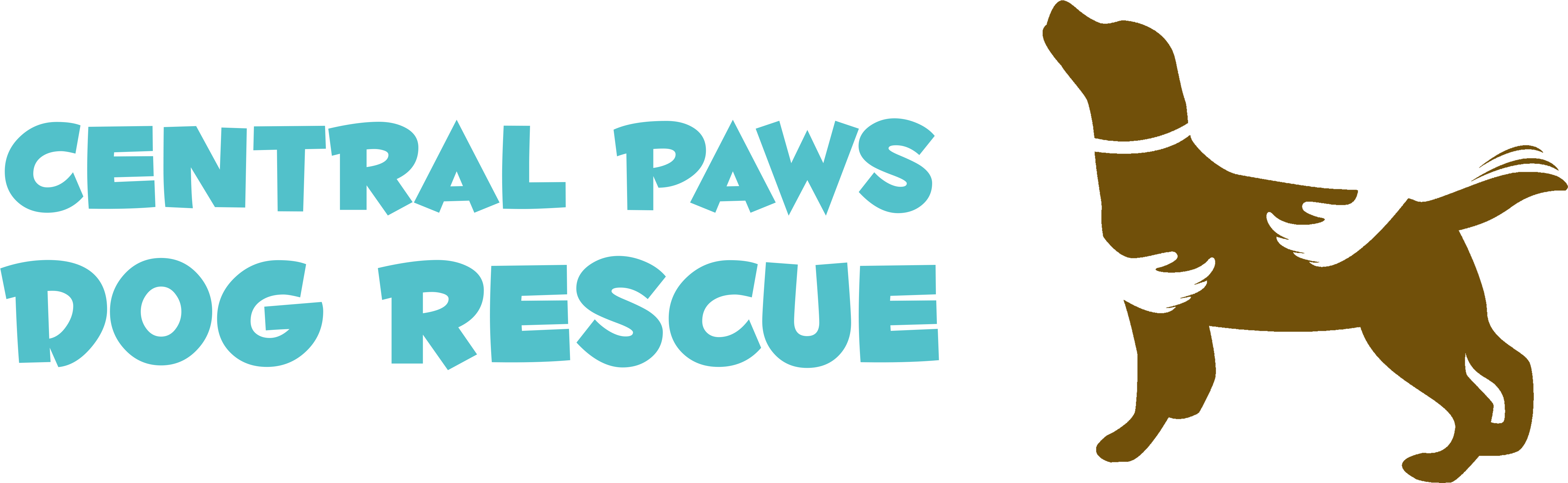 Countries In Africa: A Colouring Book (5296x1776), Png Download