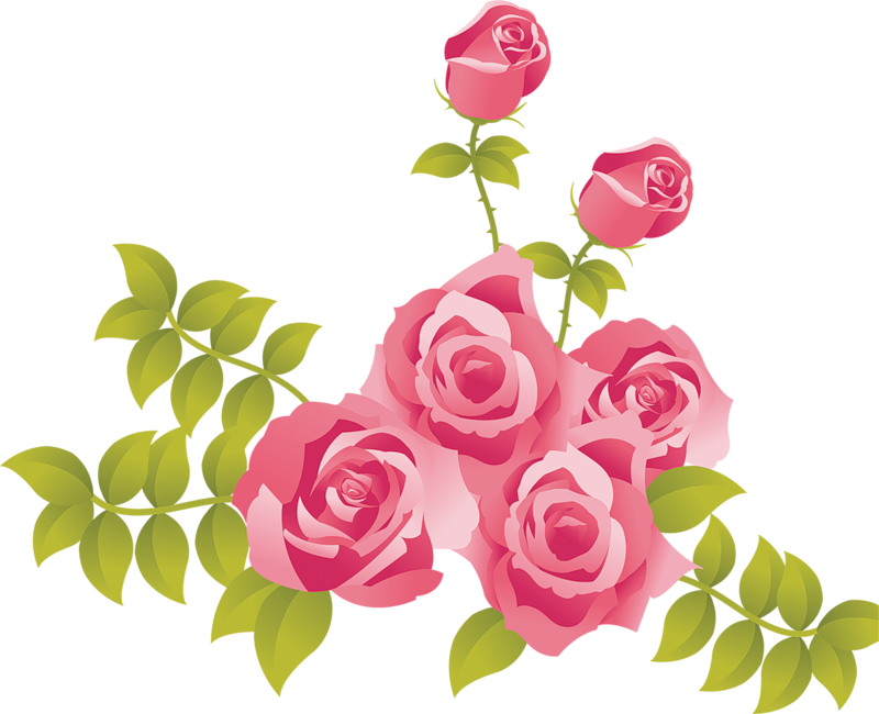 Rose Pink Clip Art - Pink Rose Cartoon Png (800x650), Png Download