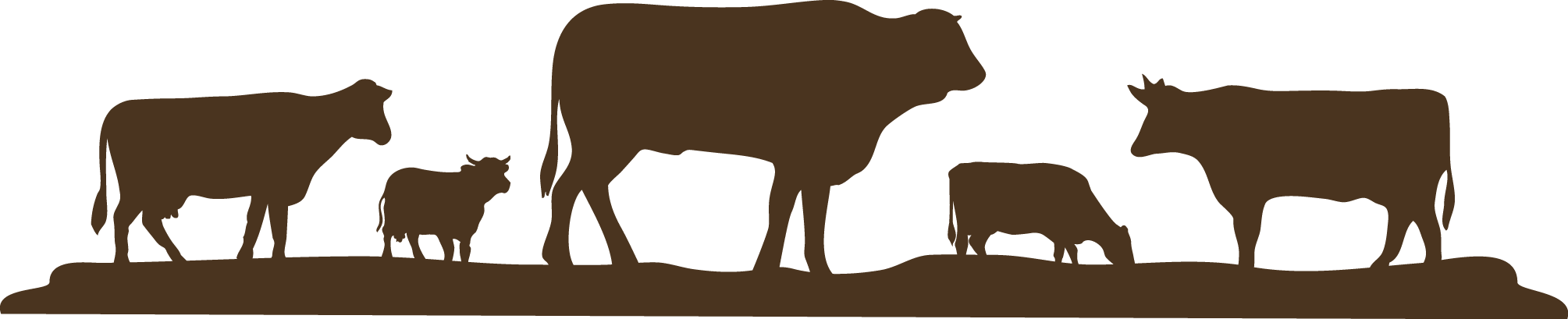 Reese Cattle Company - Cows Silhouette Png (2009x409), Png Download