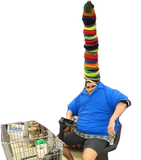 The Best Of Both Worlds - 100 Layers Of Beanies (476x528), Png Download