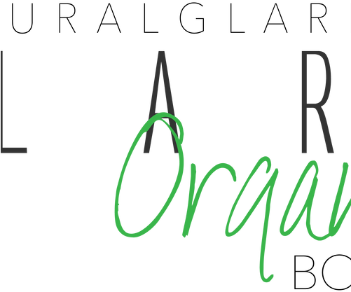 Glare Organics T-shirt - Handbag (500x500), Png Download