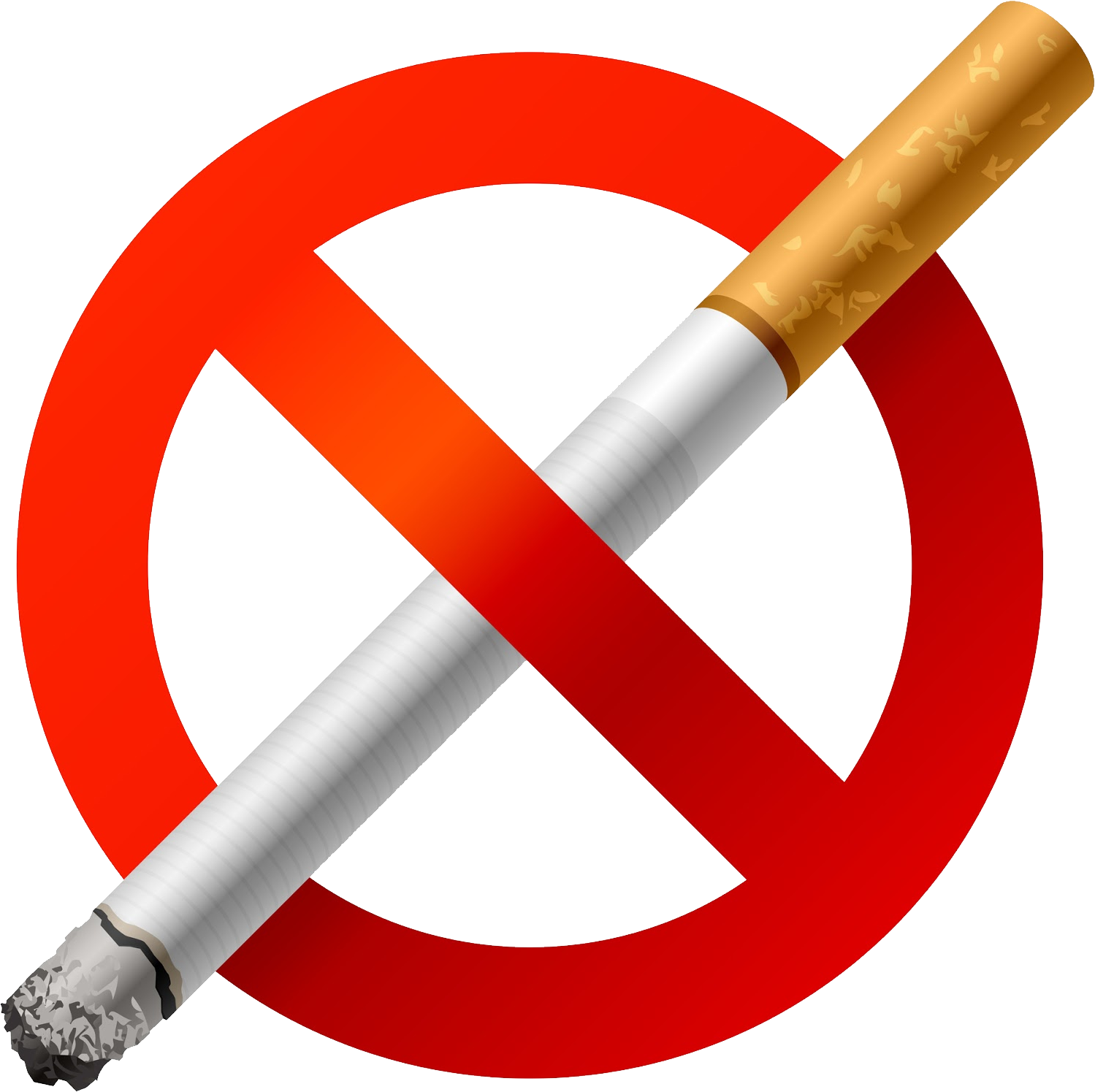 No Smoking Png - No Smoking Png Icon (1499x1495), Png Download