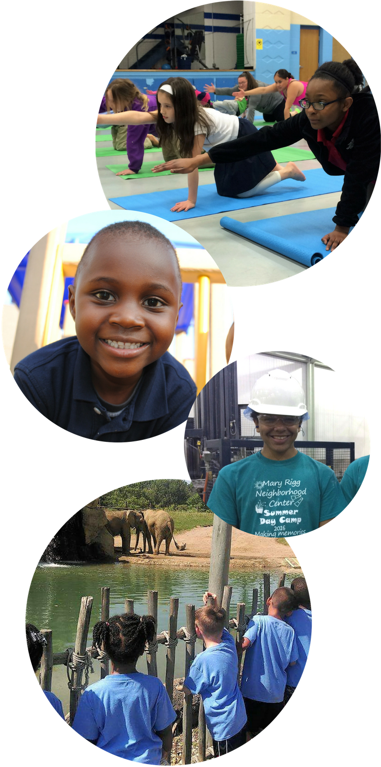 Dodgeball Faq Graphic - Mary Rigg Neighborhood Center (800x1600), Png Download