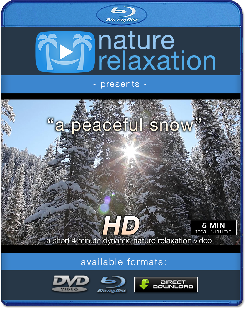 Rain & Snow Nature Relaxation Videos In 4k & Hd - Day In The Caribbean 4k (1000x1000), Png Download