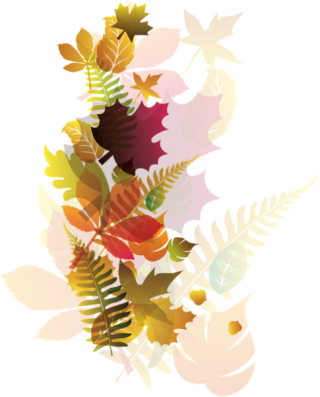 0, - Fall Transparent (482x600), Png Download