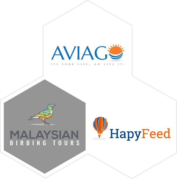 Get Started - Business (604x611), Png Download