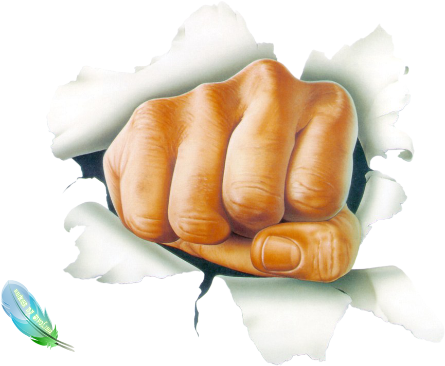 Free Icons Png - Unleash The Fighter Inside Oval Ornament (1024x768), Png Download