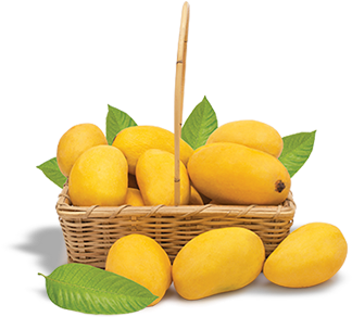 Naturally-delicious Mangoes Are Cultivated For The - Tangerine (650x305), Png Download