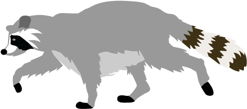 Racoon Clipart Transparent - Raccoon Clipart Transparent Background (508x508), Png Download