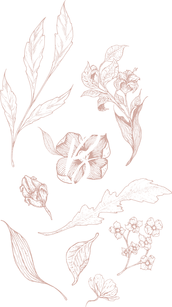 Hey Babes - Lily (555x992), Png Download