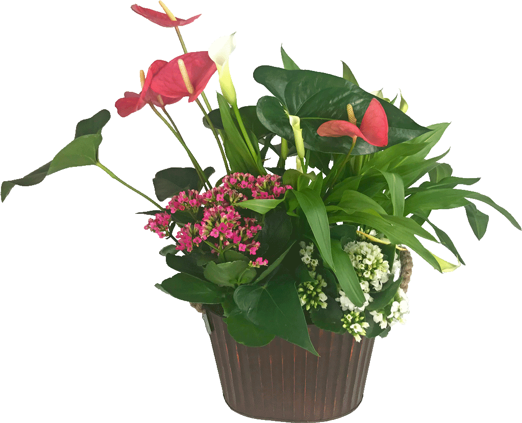 Blooming Mixed Garden - Garden (1024x1024), Png Download