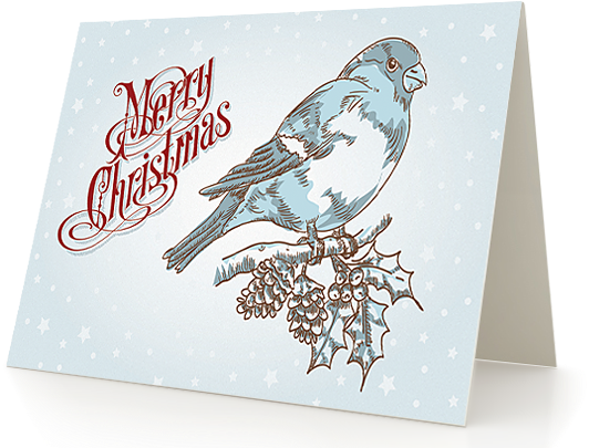 Make A Greeting Card Design, Create Greeting Cards - Design For Greeting Cards (553x420), Png Download