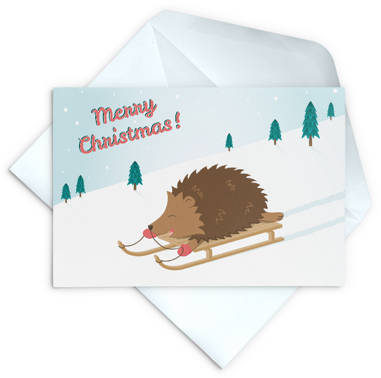 Sledgehog Hedgehog Christmas Card - Christmas Cards Hedgehog (796x796), Png Download