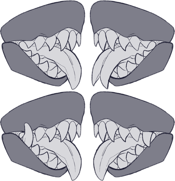 Also Can Come In A Variety Of Shapes (341x352), Png Download