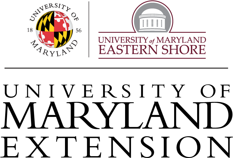 University Of Maryland Extension Logo - University Of Maryland Extension (1013x846), Png Download