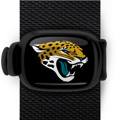 Jacksonville Jaguars Stwrap - Salida Steelers Jags 2013 (550x400), Png Download