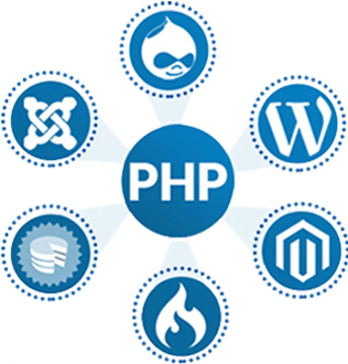 Contact Us - Php Developer (378x329), Png Download