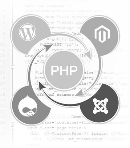 We Understand The Best Php Framework For Your Requirements - Wordpress Icon (422x479), Png Download