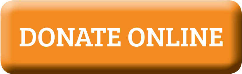 If You Would Prefer To Donate By Check, Please Make - Ok Go (900x300), Png Download