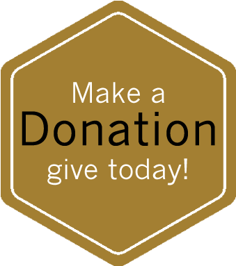 To Make Donations, Click The Donate Now Button Below - Toyota (381x409), Png Download