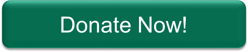 Donate Now Button1 - Graphic Design (844x192), Png Download