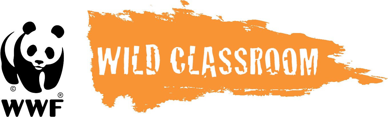 World Wildlife Fund Launches Free Educational Resource - World Wide Fund For Nature Logo Wwf Huge 47x35 Print (1381x428), Png Download