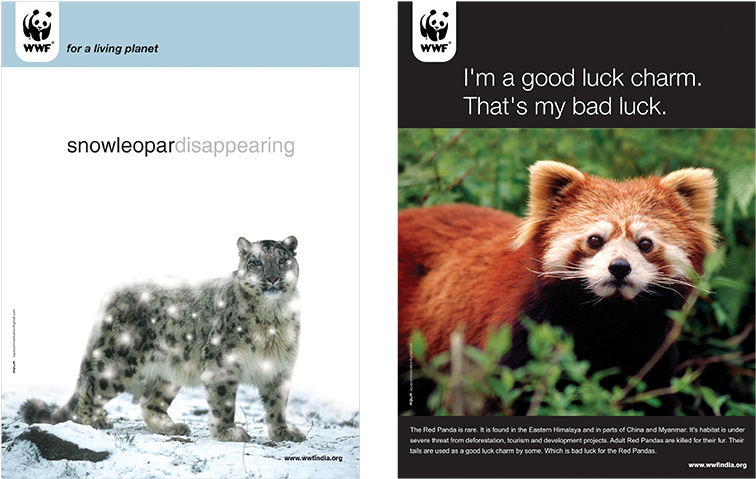 World Wildlife Fund - Swift Fox (1227x480), Png Download