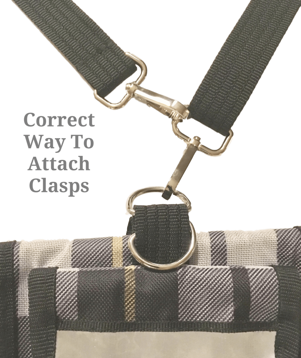 Strap, Cross Body Strap Hd - Strap (1024x1217), Png Download