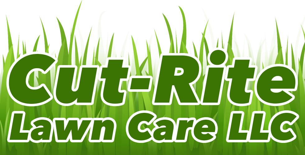 Cut-rite Lawn Care - Logo (981x500), Png Download