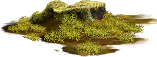 Treestump Stump Ground Groundcover Terrieasterly - Tube Verdure En Png (657x240), Png Download