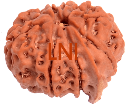 9 Mukhi Ganesha Size - Ganesha (500x500), Png Download