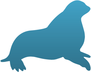 Seal Temporary Tattoo - California Sea Lion (350x350), Png Download