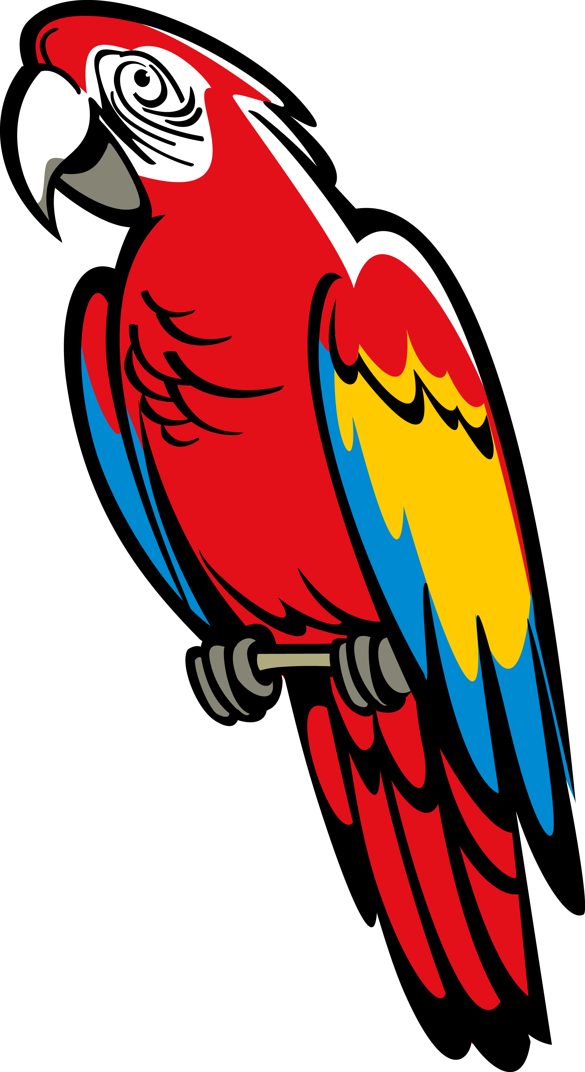 Beak Clipart Macaw Parrot Coat Of Arms Png 1940 * 3555 - Parrot Coat Of Arms (1940x3555), Png Download