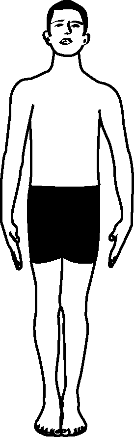 Samasthiti - Illustration (273x890), Png Download