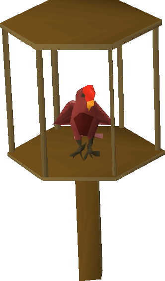 Parrot - Turkey (332x564), Png Download