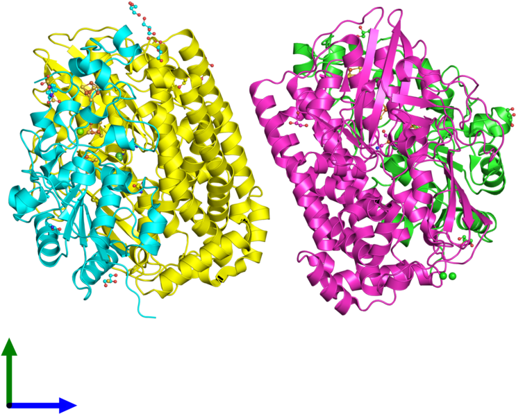 Pdb 4upv Coloured By Chain And Viewed From The Front (800x800), Png Download