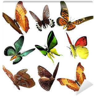 Making The Transition By Larry Fox (400x400), Png Download