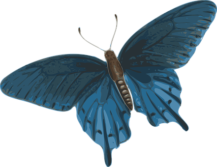 Butterfly Blue Beautiful Fly Wings Summer - Butterfly Flying Gif Png (441x340), Png Download