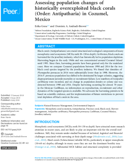 Keywords - Spinosaurus Nhm R 16421 (450x582), Png Download