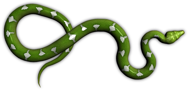 24 Mar 2009 - Green Snake Png (723x436), Png Download