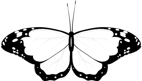 Wedding Clipart Butterfly - Monochrome Butterfly (500x294), Png Download