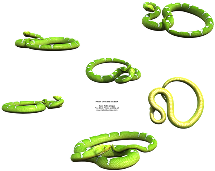Smooth Green Snake Clipart Art - Green Snakes (438x350), Png Download